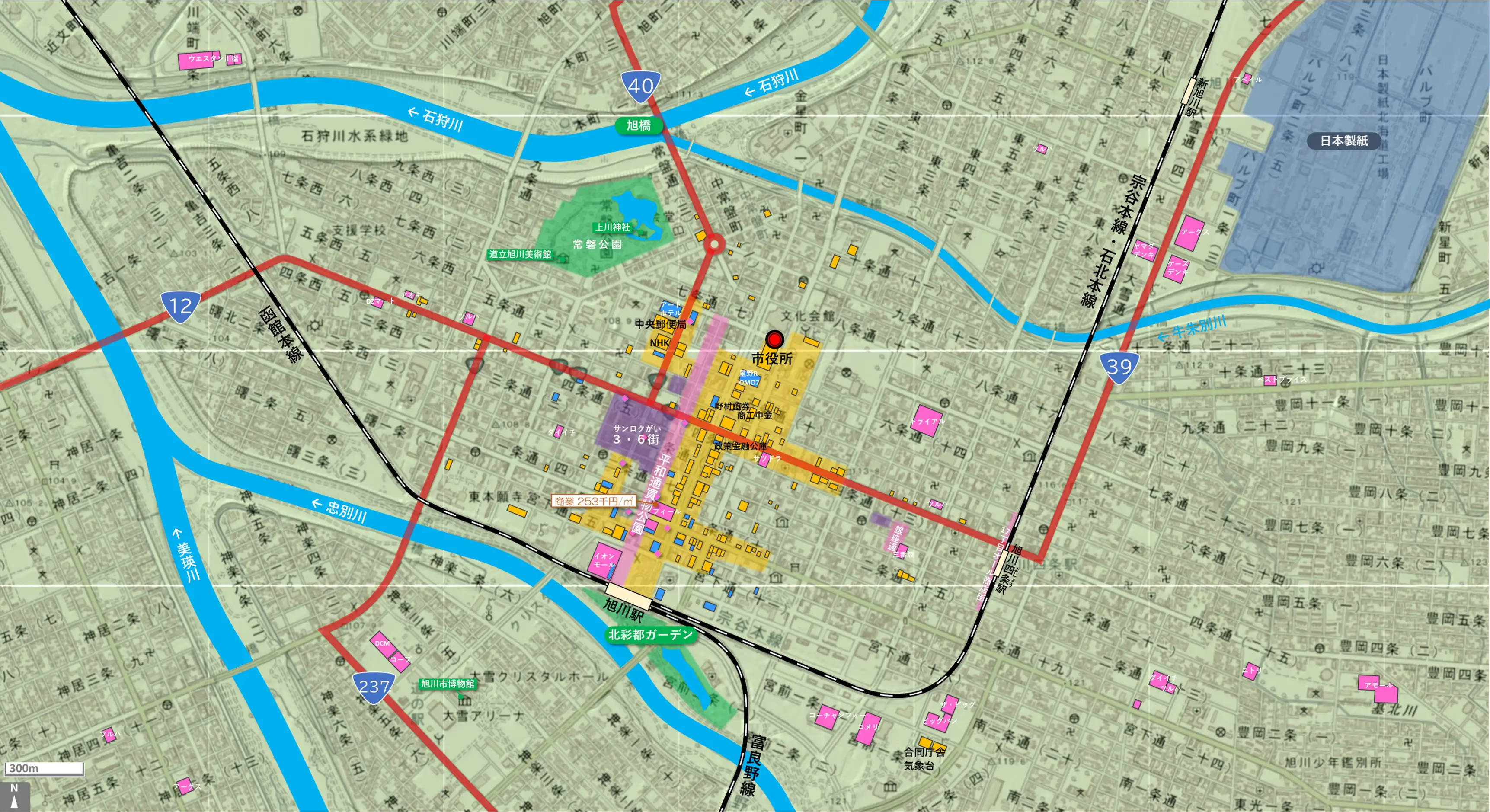 旭川のカタチ図 繁華街・ビジネス地区などを要約した地図